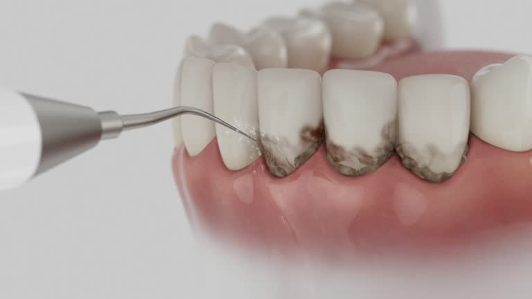 Reliable Dental contractor in Bannockburn, IL by Dentist Open Now
